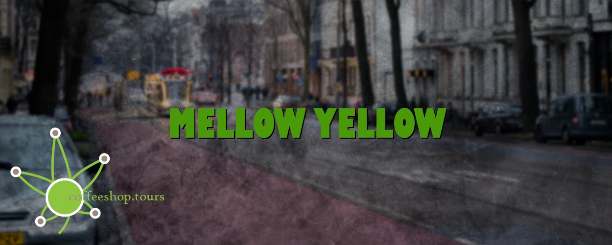 mellow yellow hours